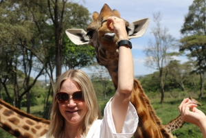 7 Days Highlight Of Kenya Urban & Bush Safari