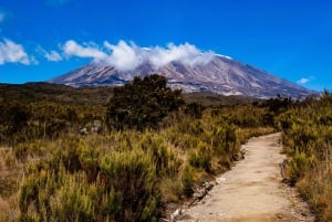 7-dagars Rongai Route Kilimanjaro klättring Gruppresa