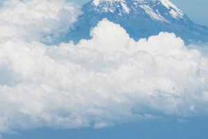 7-dagars Rongai Route Kilimanjaro klättring Gruppresa
