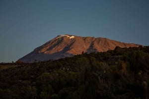 7-dagars Rongai Route Kilimanjaro klättring Gruppresa