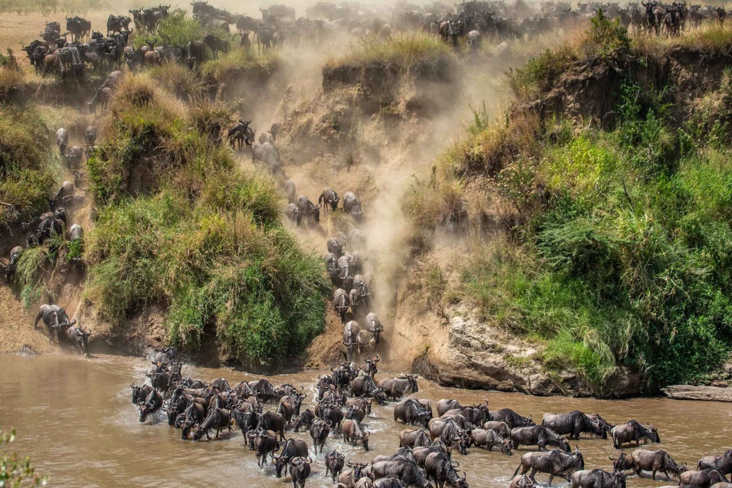 Expedição de 7 dias para o Serengeti Migration Safari