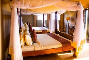 7日間のセレンゲティ移住サファリ遠征