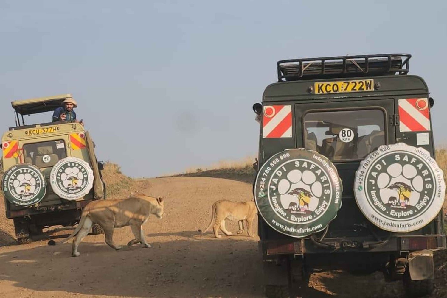 8-Day Authentic Kenya Safari with Culture, Safari & Wildlife