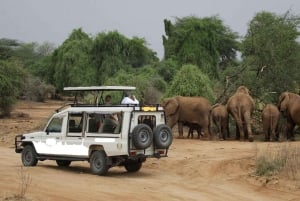 8-Day Discovery Kenya Safari – Ultimate Jeep Safari