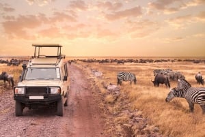 8-Day Discovery Kenya Safari – Ultimate Jeep Safari