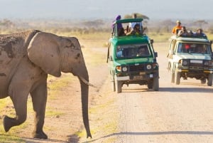 8-Day Discovery Kenya Safari – Ultimate Jeep Safari