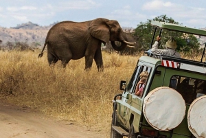 8-Day Discovery Kenya Safari – Ultimate Jeep Safari