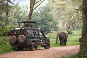 Safari premium di 8 giorni in Kenya e Tanzania