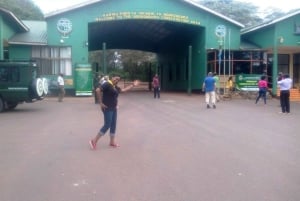 Safari premium di 8 giorni in Kenya e Tanzania