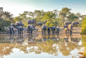 Safari di 8 giorni Amboseli, Serengeti, Lago Manyara e Ngorongoro