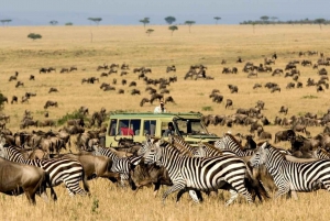 8 Tage Ostafrika-Safari: Von der Masai Mara zur Serengeti