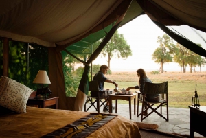 8 giorni di campeggio a Samburu, Nakuru, Masai Mara, Naivasha e Amboseli