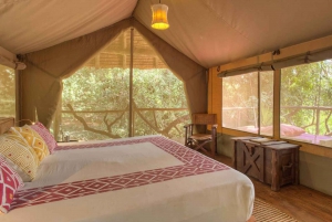 8 Tage Samburu, Nakuru, Masai Mara, Naivasha und Amboseli Camping