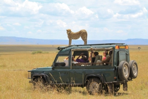 8 jours de camping à Samburu, Nakuru, Masai Mara, Naivasha et Amboseli