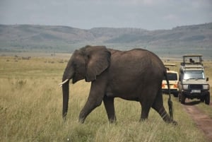 9-Day Aberdare, Samburu,OL-Pejeta, Naivasha & Masai Mara