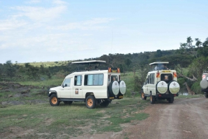 9-Day Aberdare, Samburu,OL-Pejeta, Naivasha & Masai Mara