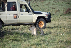 9-Day Aberdare, Samburu,OL-Pejeta, Naivasha & Masai Mara