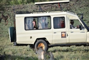 9-Day Aberdare, Samburu,OL-Pejeta, Naivasha & Masai Mara