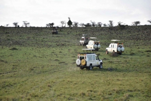 9-Day Aberdare, Samburu,OL-Pejeta, Naivasha & Masai Mara