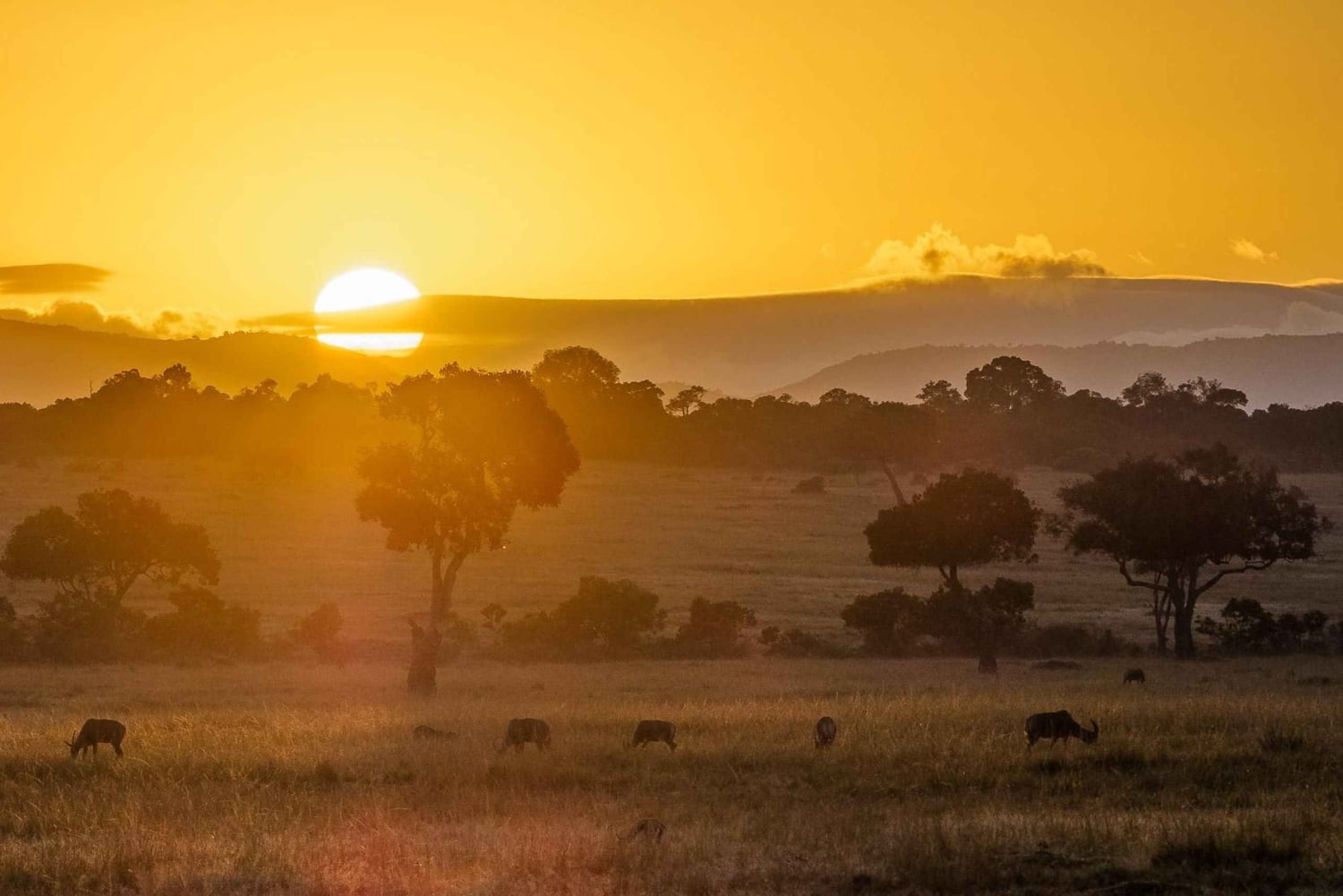 9 Days Group budget Safari Through Kenya and Tanzania