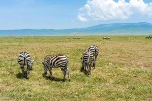 9 Days Group budget Safari Through Kenya and Tanzania