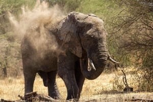 9 Days Group budget Safari Through Kenya and Tanzania