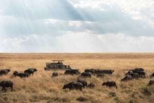 9 Days Group budget Safari Through Kenya and Tanzania