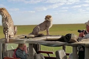 9 Days Best Kenya Wildlife Safari on 4x4 Landcruiser Jeep