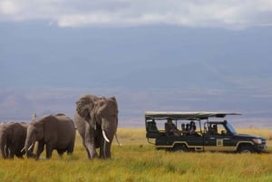 Un día en el Parque Nacional de Amboseli