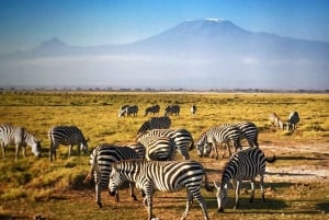 Un día en el Parque Nacional de Amboseli