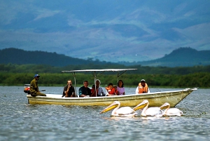 A day tour to Lake Nakuru and Naivasha Boat ride