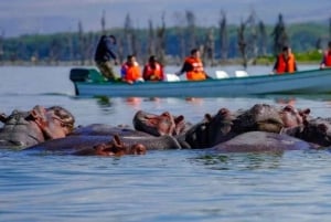 A Day Tour To Lake Nakuru And Naivasha Boat Ride
