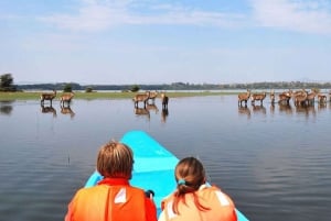 A Day Tour To Lake Nakuru And Naivasha Boat Ride