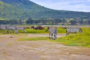 A Day Tour To Lake Nakuru And Naivasha Boat Ride