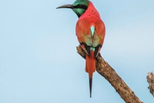 A Day Tour To Lake Nakuru And Naivasha Boat Ride
