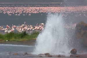 A Day Tour To Lake Nakuru And Naivasha Boat Ride