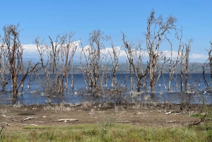 A Day Trip to Hells Gate And Lake Naivasha