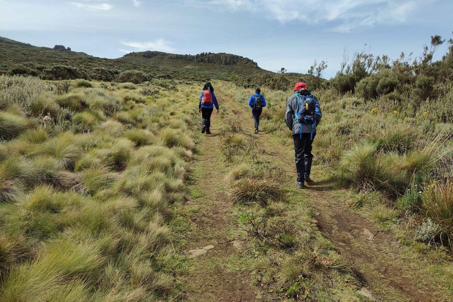 Aberdare Highlands: North to West Trekking Experience