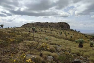 Aberdare Highlands: trektocht van noord naar west