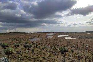 Aberdare Highlands: trektocht van noord naar west