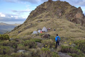 Aberdare Highlands: North to West Trekking Experience