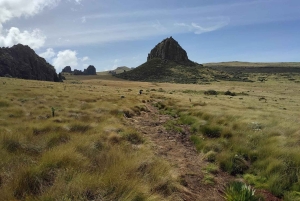 Aberdare Highlands: North to West Trekking Experience