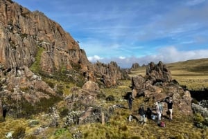Aberdare Highlands: North to West Trekking Experience