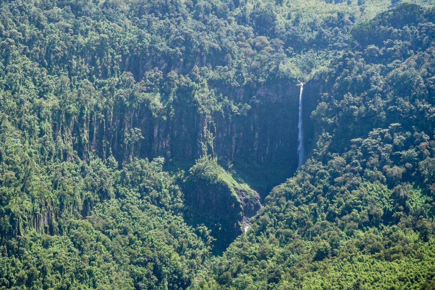 Excursión de un día al Parque Nacional de Aberdare desde Nairobi