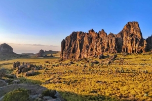 Aberdare nasjonalpark: overnatting og nattsafari