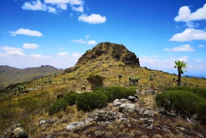 Aberdare nasjonalpark: overnatting og nattsafari