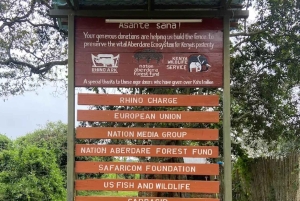 Aberdare nasjonalpark: overnatting og nattsafari