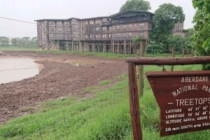 Aberdare nasjonalpark: overnatting og nattsafari