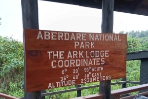Aberdare nasjonalpark: overnatting og nattsafari