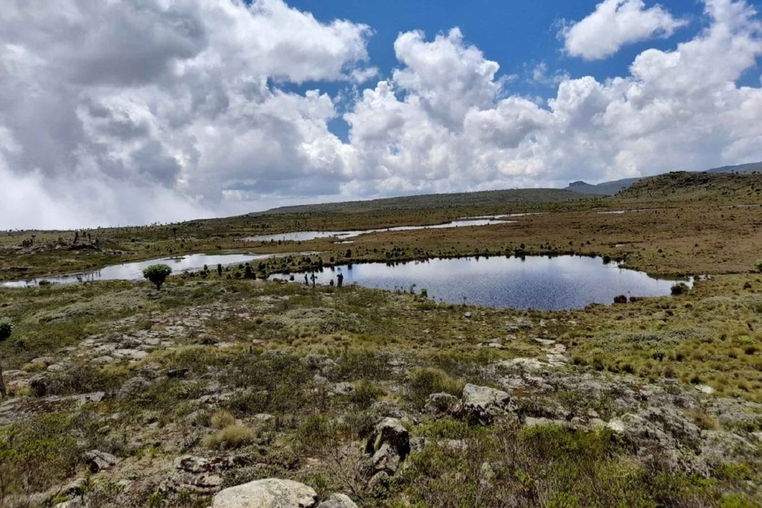 Aberdares: ruta guiada con vistas a los siete estanques